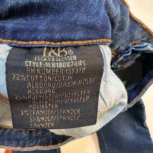 Lucky & Blessed Western Bell Bottom Flare Leg Jeans with Serape Insets Size 10 - Picture 7 of 7